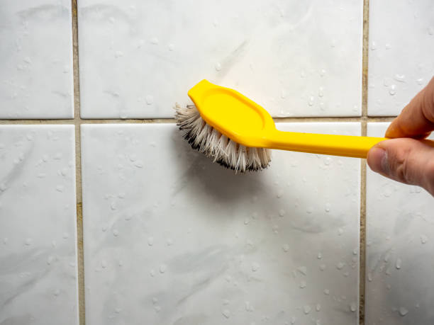 Best Mold Removal Company Near Me  in Lowesville, NC