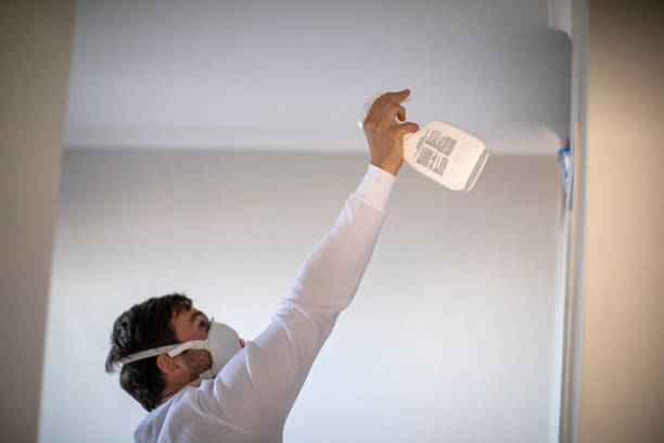 Best Best Mold Removal Companies  in Lowesville, NC