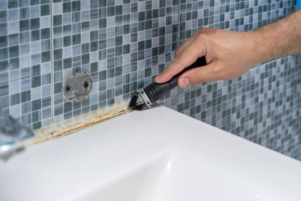 Best Office Mold Removal Services  in Lowesville, NC