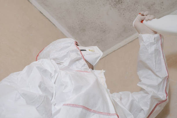 Best Certified Mold Removal  in Lowesville, NC
