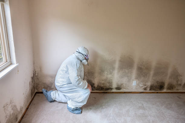 Crawl Space Mold Removal in Lowesville, NC